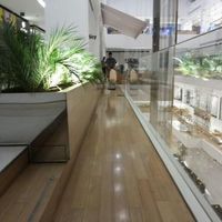Raspagem em pisos de bambu Raspagem em pisos de bambu